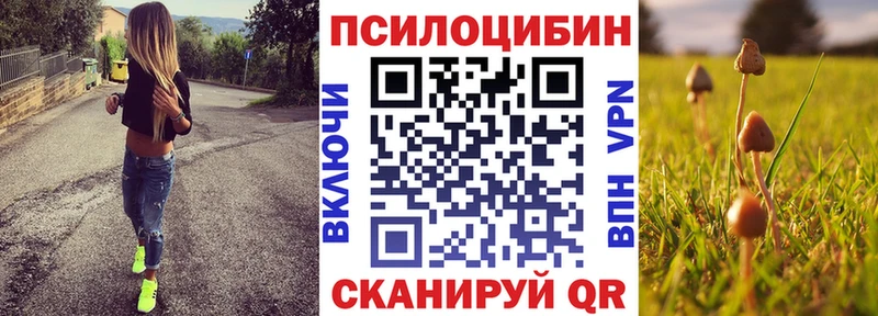 Псилоцибиновые грибы мухоморы  магазин продажи наркотиков  Красный Холм 